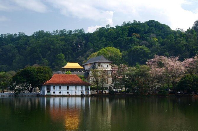 Kandy City Tour From Colombo - Practical Details: What to Expect