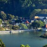 Kandy City Tour from Negombo - What Travelers Say