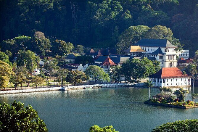 Kandy City Tour from Negombo - What Travelers Say