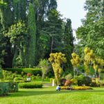 Kandy City Tour from Sigiriya - Practical Considerations and Value