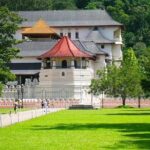 Kandy Day Tour - Final Thoughts: Who Will This Tour Suit Best?