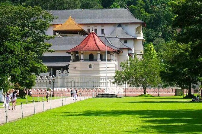 Kandy Day Tour - Final Thoughts: Who Will This Tour Suit Best?