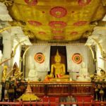 Kandy Day Trip: Colombo, Negombo, Bentota and Kalutara - Who Will Love This Tour?