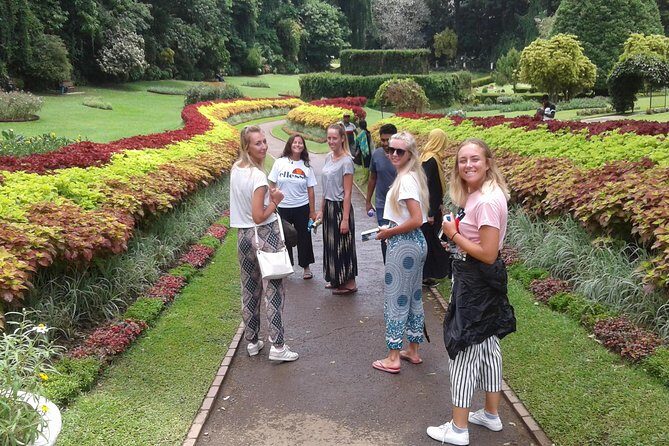 Kandy Day Trip from Colombo: Tea Factory- Peradeniya Botanical Gardens-Kandy - Who Should Consider This Tour?