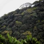 Kandy: Five Peaks Cloud Forest Adventure - Exploring the Route: What to Expect