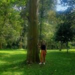 Kandy Full Day Tour from Colombo and Negombo and CMB Airport - Final Thoughts