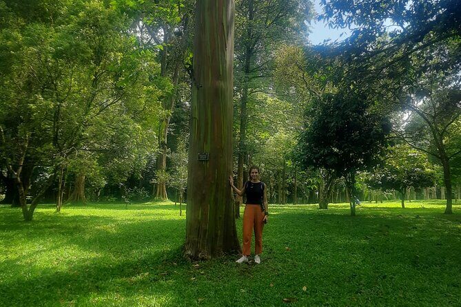 Kandy Full Day Tour from Colombo and Negombo and CMB Airport - Final Thoughts