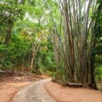 Kandy: Heritage and Architectural by Tuk Tuk - What to Expect from the Tour