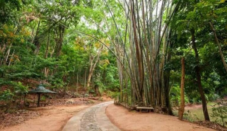 Kandy: Heritage and Architectural by Tuk Tuk - What to Expect from the Tour