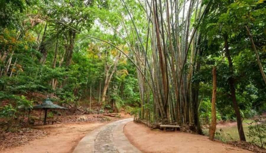 Kandy: Heritage and Architectural by Tuk Tuk - What to Expect from the Tour