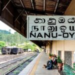 Kandy: Nanu Oya Scenic First Class Railway Experience - Why This Journey Truly Shines