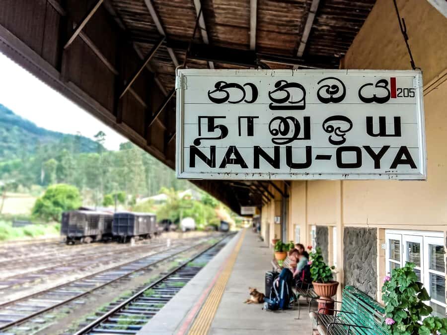 Kandy: Nanu Oya Scenic First Class Railway Experience - Why This Journey Truly Shines