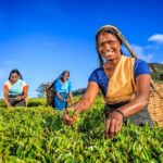 Kandy Nature & Culture Tour - Practical Details and What You Should Know