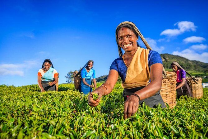 Kandy Nature & Culture Tour - Practical Details and What You Should Know