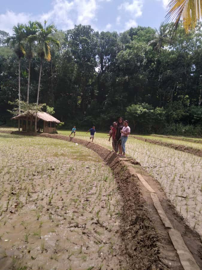 Kandy: Nutmeg Plantation Tour with Kamatha Lunch - Who Will Love This Tour?