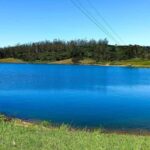 Kandy: Nuwara Eliya and Ambewela Train Station Tour - Exploring the Full Scope of the Tour