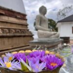 Kandy: Nuwara Eliya Secret & Historical Sightseeing Tour - Practical Details and What to Expect