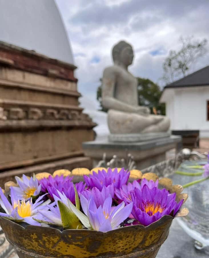 Kandy: Nuwara Eliya Secret & Historical Sightseeing Tour - Practical Details and What to Expect