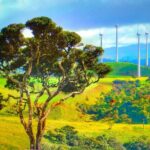 Kandy Nuwara Eliya & Train tour to Ella - Why This Tour Works Well for Travelers