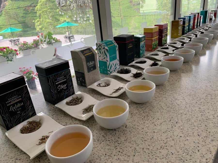 Kandy: Nuwara Eliya Transfer with Tea Factories & Falls - Exploring the Tea Factories: A Deep Dive into Sri Lanka’s Tea Heritage