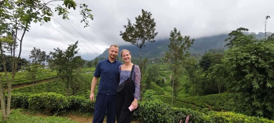 Kandy: Private Ella Journey with Tea, Falls & Arch Bridge - The Itinerary: What You Can Expect