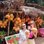 Kandy: Sigiriya and Dambulla Tuk Tuk Safari with Lunch - Who Is This Tour Best For?
