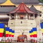 Kandy: Temple of Tooth, Train Ride, & Cave Waterfall Tour - The Practical Side