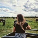 Kandy to Anuradhapura Shuttle & Safari Drive - Practical Tips