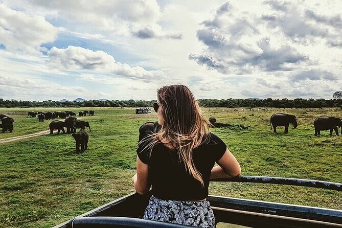 Kandy to Anuradhapura Shuttle & Safari Drive - Practical Tips