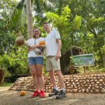 Kandy to Galle: Madu Ganga & Turtle Hatchery Tour - Cinnamon Island: Savor the Aroma and Tradition