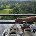 Kandy to Nuwara Eliya Private Day Tour: Tea Factory& Gregory Lake - Practical Details and Tips