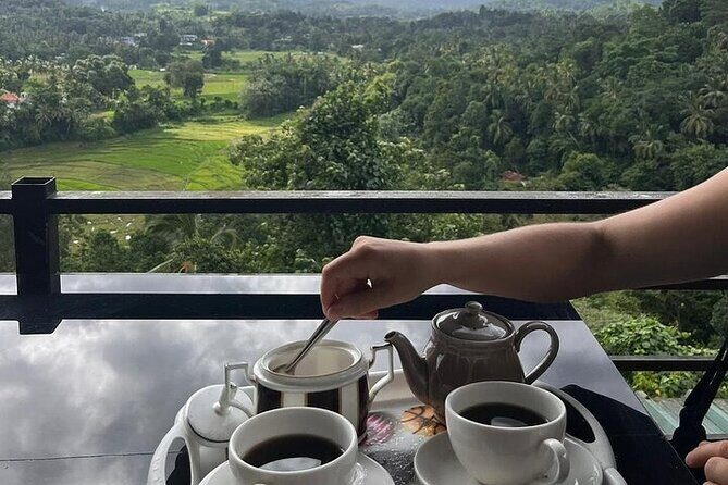 Kandy to Nuwara Eliya Private Day Tour: Tea Factory& Gregory Lake - Practical Details and Tips