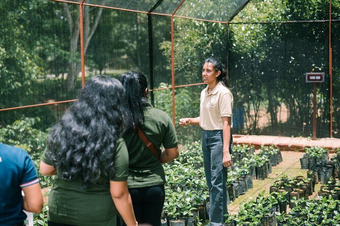 Kandy Yahalatenna Walking Coffee Class Activity - Practical Details & Tips