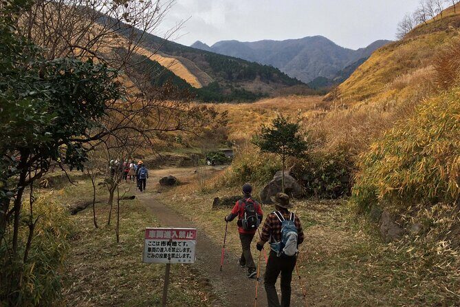 Kannawa Jigoku District Park Nordic Walking Tour - Why This Tour Offers Great Value