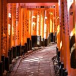 Kansai Day Trip Nara Deer, Torii Gates and Arashiyama - Authentic Experiences and Insights from Reviews