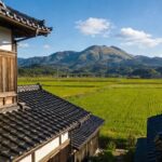 Kansai Hidden Cherry Blossom Gems Seasonal Exclusive Day Trip - What Travelers Say and Why It Matters