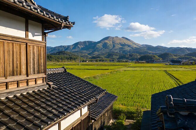 Kansai Hidden Cherry Blossom Gems Seasonal Exclusive Day Trip - What Travelers Say and Why It Matters