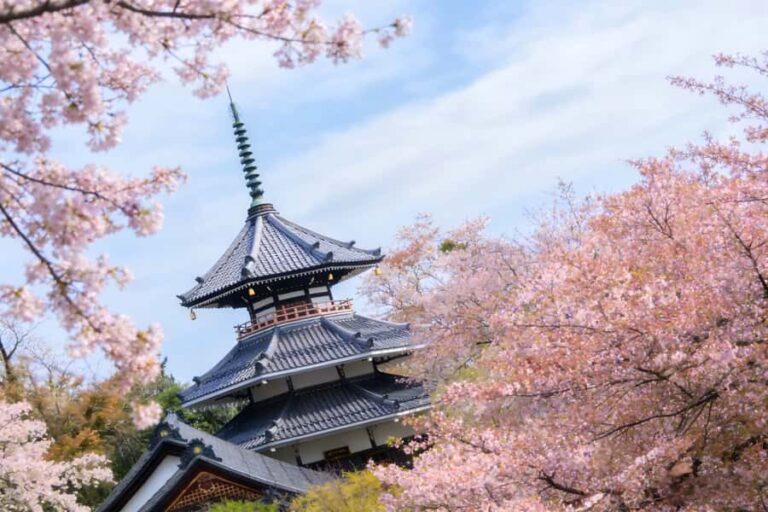 Kansai Hidden Cherry Blossom Tour: Seasonal One-Day Escape - Visiting Kosan-ji Temple and Cherry Blossom Viewing