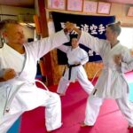 Karate Adventure in Osaka Japan - An In-Depth Look at the Karate Adventure Experience in Osaka