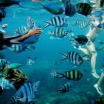 Karimunjawa Kayaking and Snorkeling - What Travelers Love and What They Keep in Mind