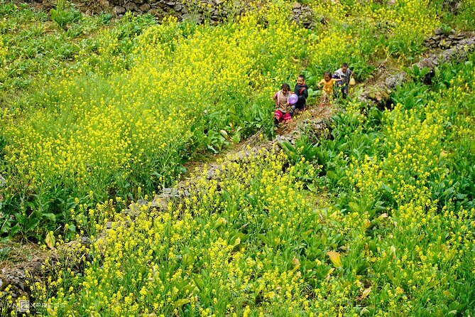 Karst Plateau Geopark Tour 3 Days 2 Nights From Hanoi - Transport, Accommodation, and Value