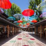 Karuizawa Half-Day Private Trip with Government-Licensed Guide - Why This Tour Works Well