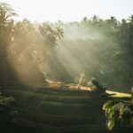 Kastala Tenganan Village Village Trekking - Lunch and Return Journey