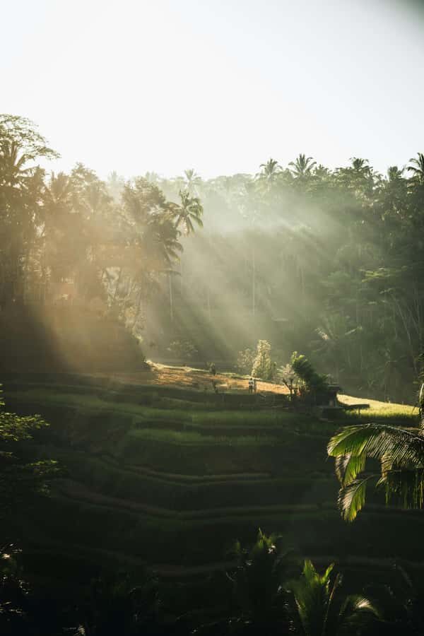 Kastala Tenganan Village Village Trekking - Lunch and Return Journey