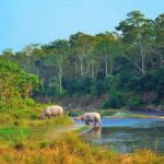 Kathmandu: 3 Days Chitwan Jungle Safari Private Tour - What’s Included and What’s Not