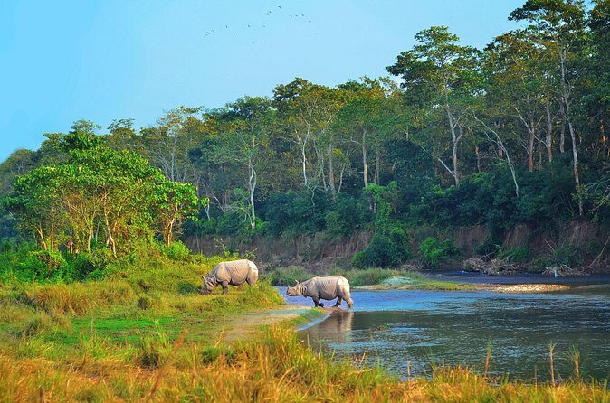 Kathmandu: 3 Days Chitwan Jungle Safari Private Tour - What’s Included and What’s Not
