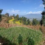 Kathmandu: 4-Day Culture, Cuisine & Himalayan Vistas - Exploring Kathmandu: The Heart of Nepal