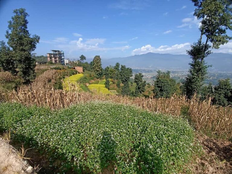 Kathmandu: 4-Day Culture, Cuisine & Himalayan Vistas - Exploring Kathmandu: The Heart of Nepal