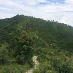 Kathmandu: Champadevi Hiking Day Tour - What You Can Expect: Practical Details