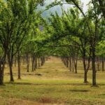 Kathmandu: Chitlang Wine Tasting Tour with Lunch & Guide - An In-Depth Look at the Chitlang Wine Tasting Tour